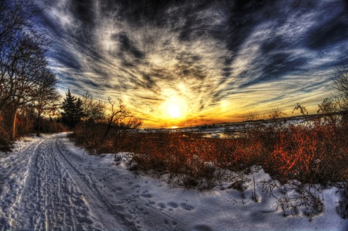 A snowy path lined with trees under a dramatic sunset sky, reflecting vibrant colors over a tranquil landscape.
