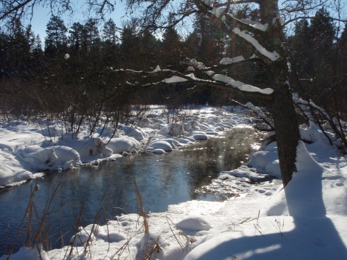 A serene winter scene featuring a river surrounded by snow-covered banks and trees under a clear blue sky.