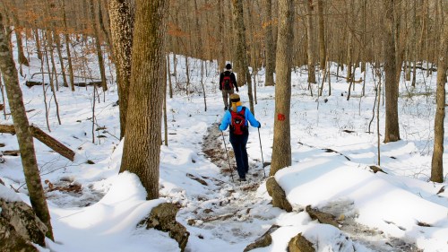 Two hikers navigate a snowy trail in a wooded area, surrounded by trees and rocky terrain.
