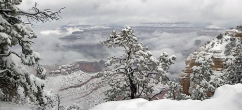 A snowy landscape of the Grand Canyon, with trees and clouds shrouding the canyon's depths.
