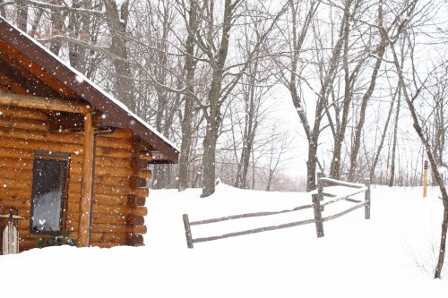 A cozy log cabin surrounded by snow-covered trees, with snowflakes gently falling in a serene winter landscape.