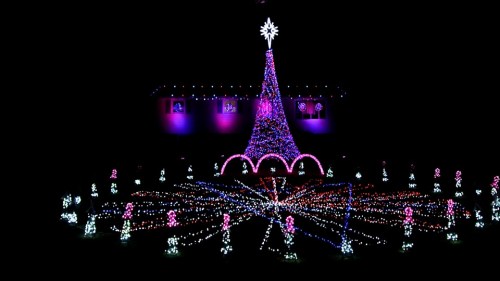 A brightly lit Christmas display featuring a tall tree with a star, surrounded by colorful lights and festive decorations.