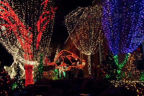 Colorful holiday lights illuminate trees and decorations in a festive outdoor display at night.