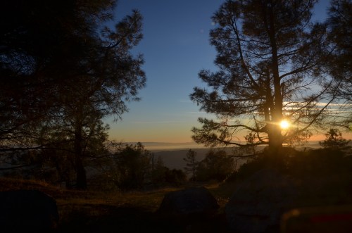 Sunset view through trees, with golden light illuminating the landscape and a serene sky in the background.