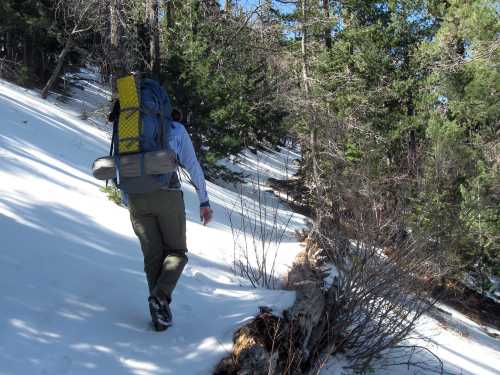 A person hiking through snowy terrain, carrying a backpack, surrounded by trees.