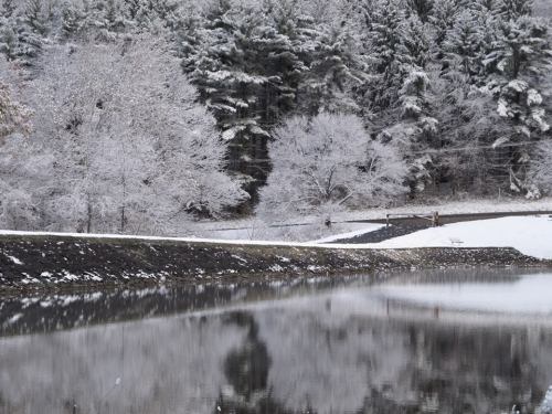 A serene winter landscape featuring snow-covered trees and a calm, reflective pond.