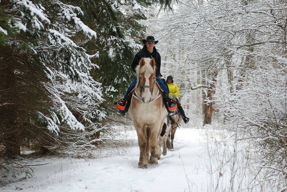 Go Winter Horseback Riding In Pennsylvania At Deer Path Stable