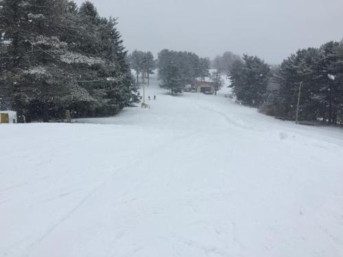 A snowy landscape with trees and a ski slope, lightly covered in fresh snow, under a gray, overcast sky.