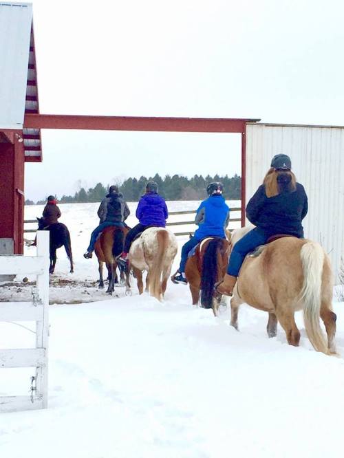 A group of people riding horses through a snowy landscape, heading towards a barn under a gray sky.