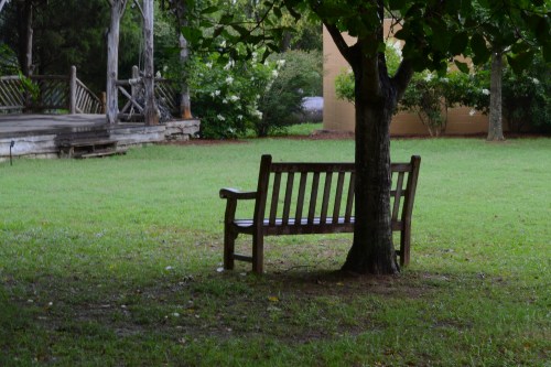 A wooden bench sits under a tree in a grassy area, with a wooden structure visible in the background.