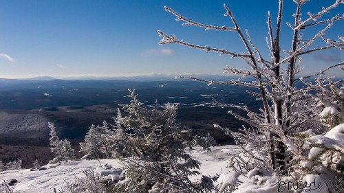 A snowy mountain landscape with frosted trees under a clear blue sky, showcasing distant hills and valleys.