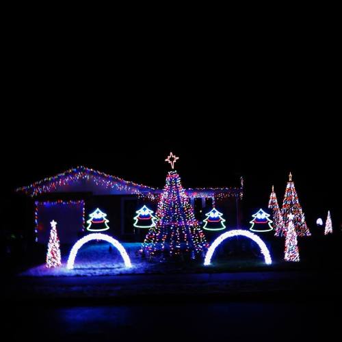A house decorated with colorful Christmas lights, featuring a large tree and several illuminated trees in the yard.
