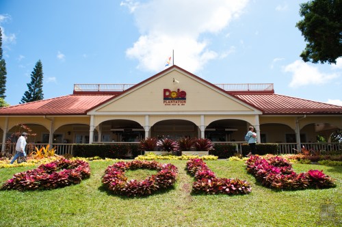 Dole Plantation building with colorful flower arrangements spelling "Dole" in front, under a blue sky.