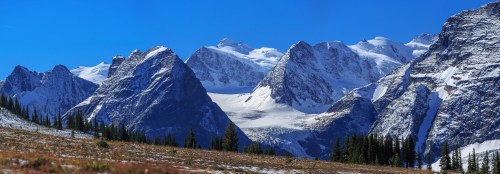 A panoramic view of snow-capped mountains under a clear blue sky, with a foreground of grassy terrain and evergreen trees.