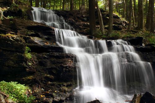 A serene waterfall cascading over dark rocks, surrounded by lush green trees in a tranquil forest setting.