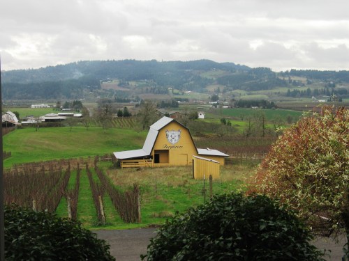 A yellow barn with a logo stands in a vineyard, surrounded by rolling green hills under a cloudy sky.