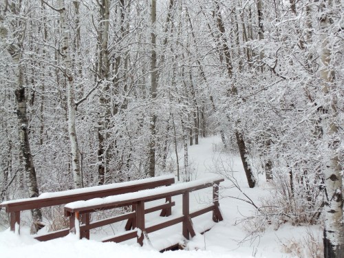 A snow-covered wooden bridge in a winter forest, surrounded by trees blanketed in white frost.