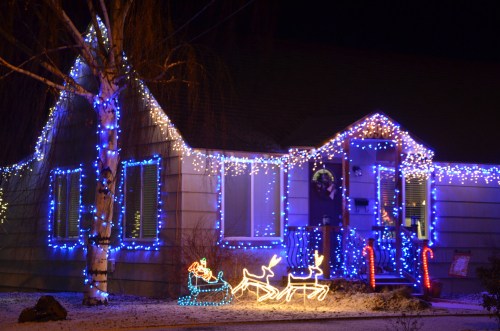 A cozy house decorated with blue and white Christmas lights, featuring a sleigh and reindeer in the front yard.