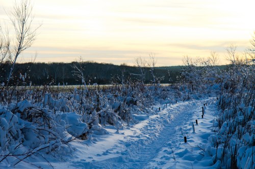 A snowy path winds through a winter landscape, flanked by trees and shrubs, under a soft sunset sky.