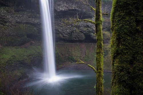 A serene waterfall cascades into a tranquil pool, surrounded by lush greenery and moss-covered trees.