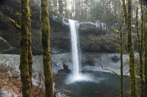 A serene waterfall cascades into a pool, surrounded by moss-covered trees and a wintery landscape.