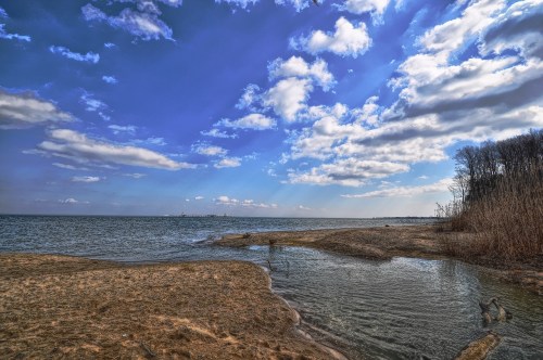 A serene lakeside view with sandy shore, gentle waves, and a blue sky dotted with fluffy clouds.