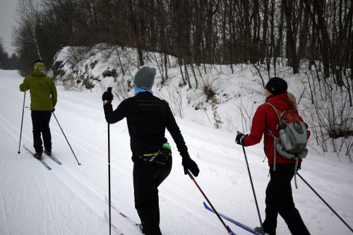Three people cross-country skiing on a snowy trail surrounded by trees.