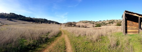 A scenic landscape featuring a dirt path through tall grass, with rolling hills and a rustic wooden structure on the side.