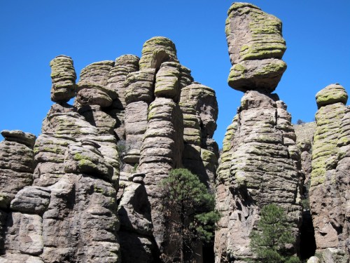 A cluster of tall, moss-covered rock formations against a clear blue sky.