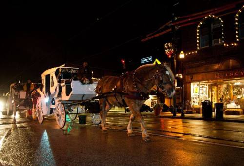 A horse-drawn carriage illuminated by streetlights travels down a wet, festive street at night.