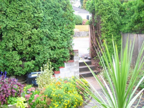 Lush garden with colorful flowers, green shrubs, and a stone pathway leading to a staircase.
