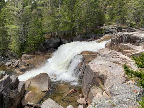 A cascading waterfall flows over rocky terrain, surrounded by lush green trees and a serene natural landscape.