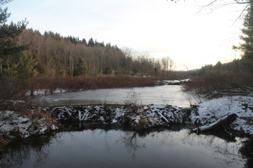 A serene river scene with a frozen surface, surrounded by trees and snow-covered banks under a cloudy sky.