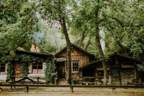 A rustic wooden cabin surrounded by lush trees, with smoke rising from a chimney and flowers in the foreground.