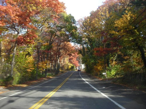 A scenic road lined with vibrant autumn trees in shades of red, orange, and yellow under a clear blue sky.