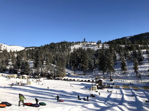 A snowy landscape with people sledding and playing in the snow, surrounded by trees and a clear blue sky.
