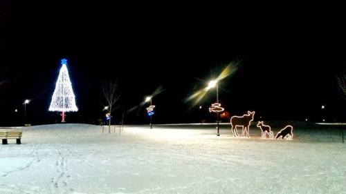A snowy park at night featuring a lit Christmas tree and illuminated deer decorations under streetlights.