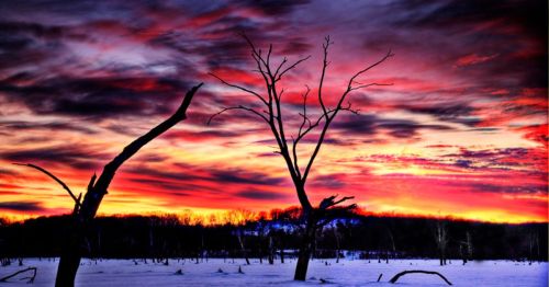Silhouetted trees against a vibrant sunset sky with colorful clouds over a snowy landscape.