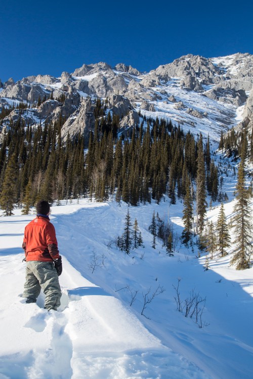 A person in a red jacket stands in deep snow, gazing at towering mountains and pine trees under a clear blue sky.