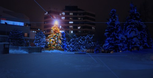 A snowy night scene featuring a brightly lit Christmas tree and blue lights on trees in a park.