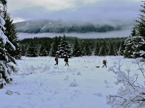 Two hikers trek through a snowy landscape, surrounded by evergreen trees and misty mountains in the background.