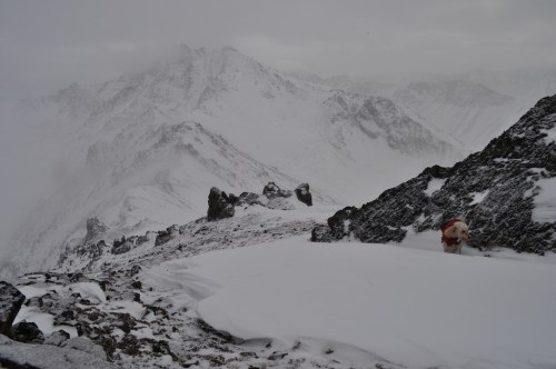 A snowy mountain landscape with rocky terrain and a small dog in a red coat near the edge of a snow-covered slope.