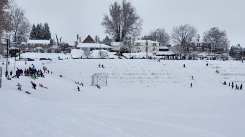 A snowy hill filled with people sledding, with houses and trees in the background on a cloudy winter day.