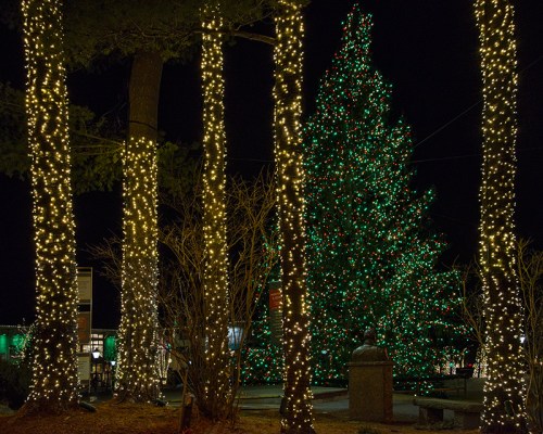 A large green Christmas tree adorned with red and green lights, surrounded by trees wrapped in warm white lights at night.