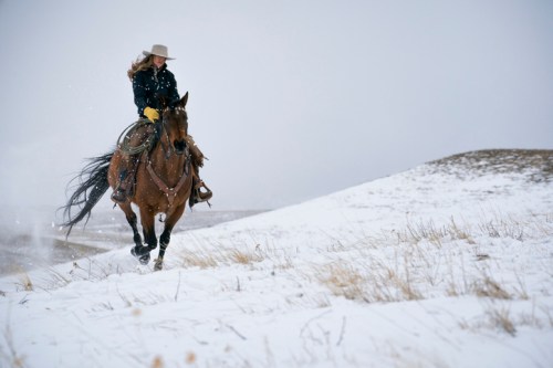 A rider in a hat gallops on a horse through a snowy landscape, with snowflakes falling around them.
