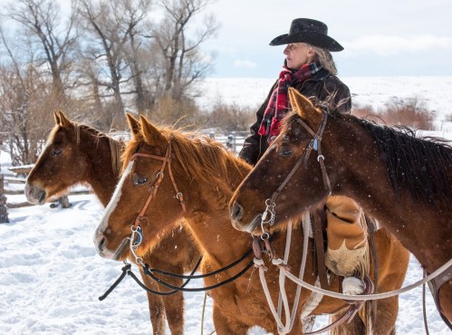 A person in a cowboy hat sits on a horse, surrounded by two other horses in a snowy landscape.