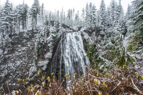 A snowy waterfall cascades down rocky cliffs, surrounded by tall evergreen trees and a winter landscape.