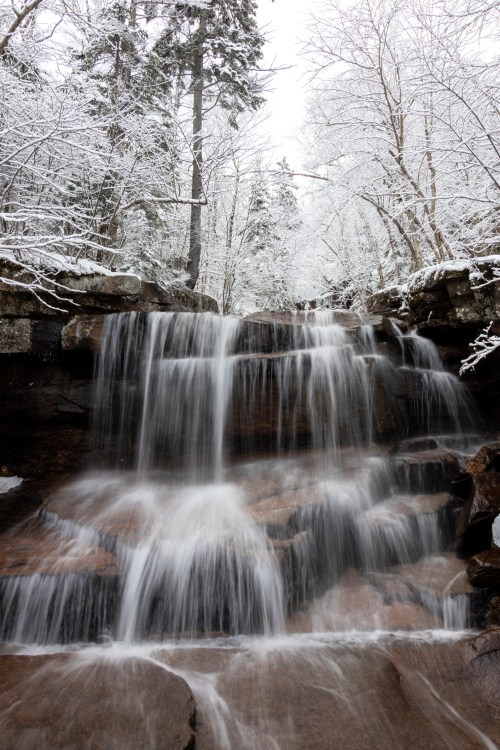 A serene waterfall cascades over rocks, surrounded by snow-covered trees in a winter landscape.