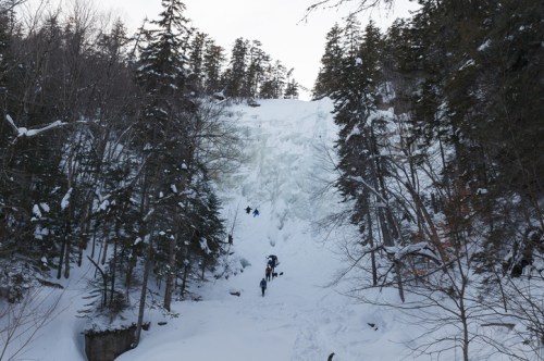 A snowy landscape with climbers ascending an icy slope surrounded by tall trees.