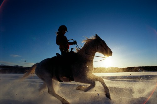 A silhouette of a person riding a horse across a snowy landscape at sunset, with dust kicking up around them.